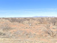 Fresh Start on Land That Gives Back : Sunizona : Cochise County : Arizona