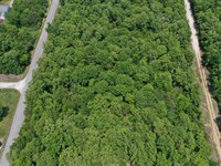 Your Private Outdoor Escape : Horseshoe Bend : Izard County : Arkansas