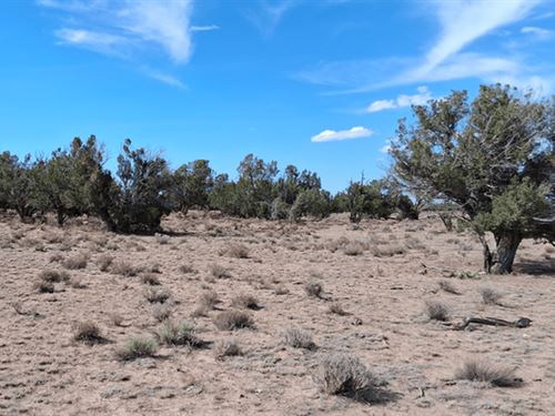 Perfect Off-Grid Homestead : Sanders : Apache County : Arizona