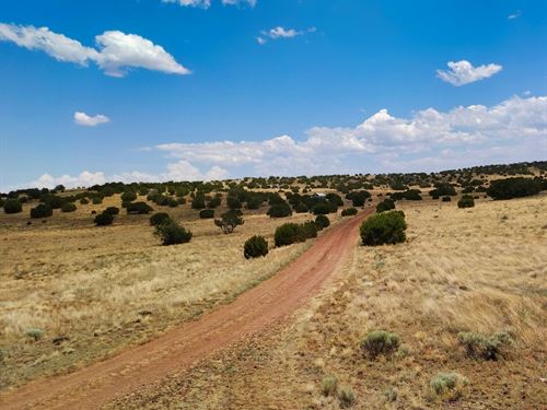 Your Perfect Off-Grid Opportunity : Concho : Apache County : Arizona
