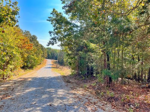 Privacy While Close to Everything : Horseshoe Bend : Izard County : Arkansas