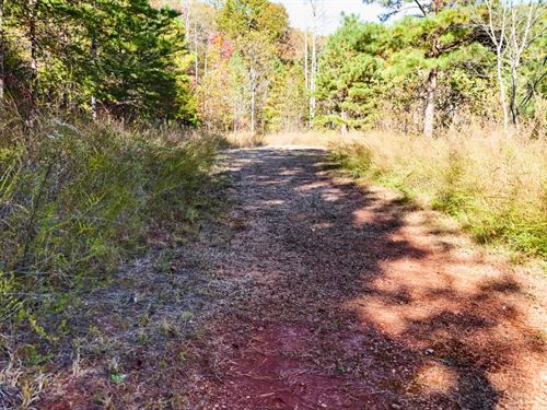 Wooded Lot with Views : Bostic : Rutherford County : North Carolina