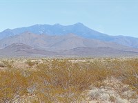 Affordable 5 Acre Homestead Lot : Golden Valley : Mohave County : Arizona