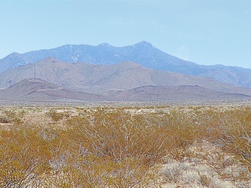 Affordable 5 Acre Homestead Lot : Golden Valley : Mohave County : Arizona