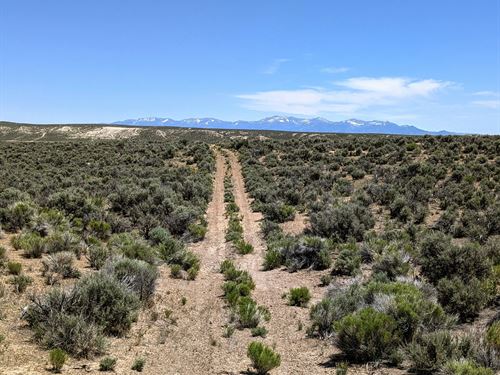 Nevada Private Desert Haven : Elko : Nevada