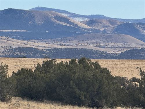 Secure Your Future with Real Assets : Concho : Apache County : Arizona