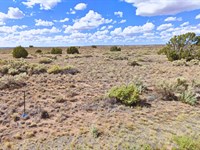 Most Explosive 1.15 Acre Deal : Sanders : Apache County : Arizona