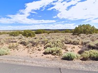 Swap Rent with Your 1.15 AZ Land : Sanders : Apache County : Arizona