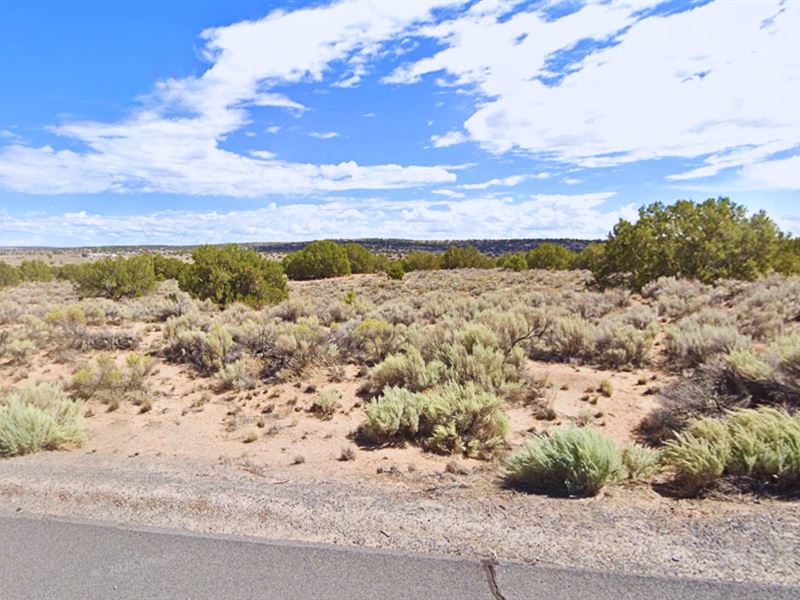 Swap Rent with Your 1.15 AZ Land : Sanders : Apache County : Arizona