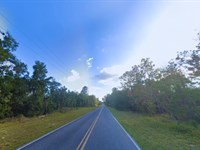 .24 Acres in Interlachen for Sale : Interlachen : Putnam County : Florida