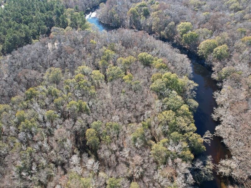 17.3 Acres of Riverfront Land : Evergreen : Columbus County : North Carolina