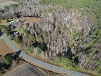 6.98 Acres of Recreational And Resi : Chadbourn : Columbus County : North Carolina