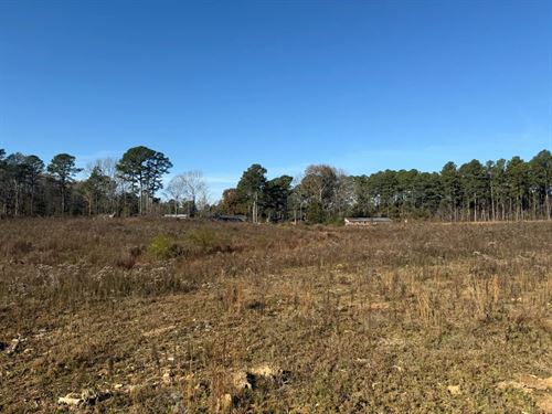 19.4 Acres in Winston County, MS : Louisville : Winston County : Mississippi