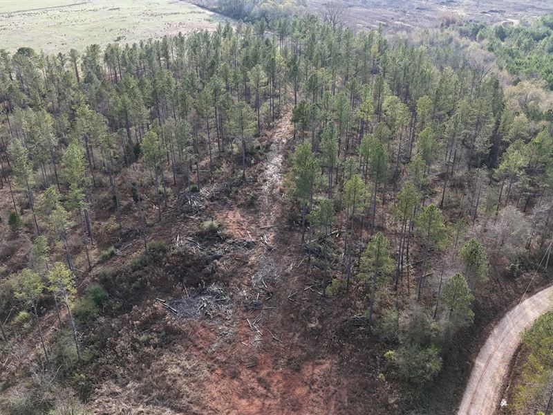 Gleneagles Tract 10 : Piedmont : Cherokee County : Alabama