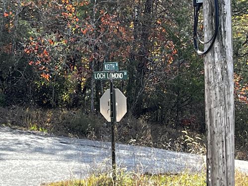Bass Are Biting in Norfork Lake : Mountain Home : Baxter County : Arkansas