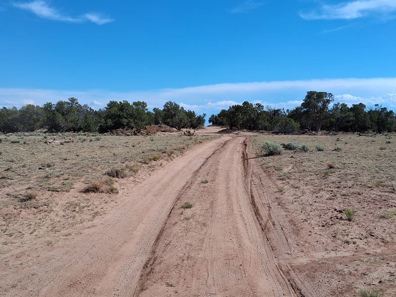 Your Escape Starts Here : Sanders : Apache County : Arizona