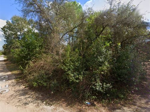 Shaded Corner Lot for Simple Living : Umatilla : Marion County : Florida