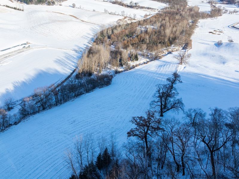 6.5 Acres Buffalo County, WI : Independence : Buffalo County : Wisconsin
