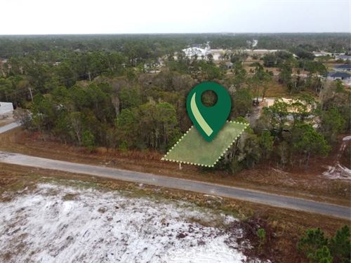 Your Dream Starts Here : Lehigh Acres : Lee County : Florida