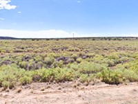 2 Adjacent Lots for Just $300/Down : Sanders : Apache County : Arizona