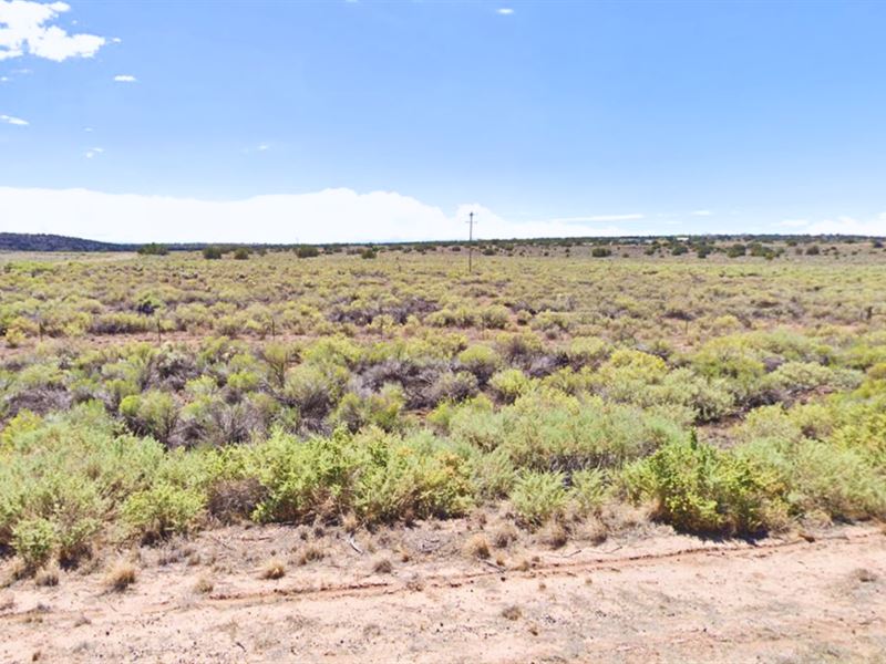 2 Adjacent Lots for Just $300/Down : Sanders : Apache County : Arizona