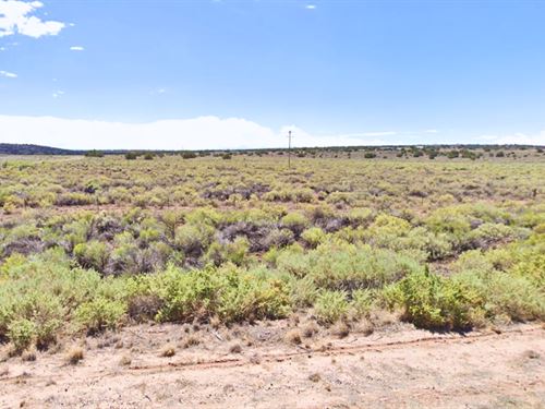 2 Adjacent Lots for Just $300/Down : Sanders : Apache County : Arizona