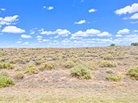 Best Adjacent Land Deal of 2025 : Sanders : Apache County : Arizona