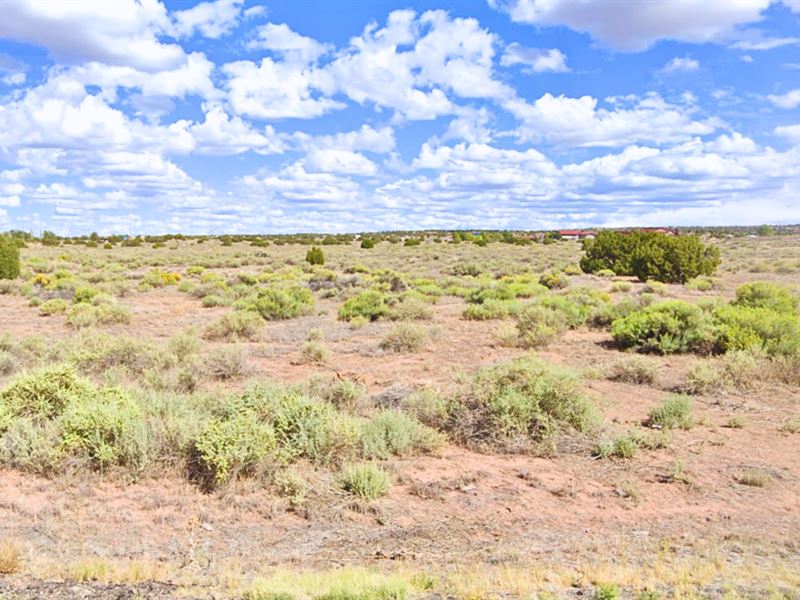 Triple Your Space 3.45 Acres : Sanders : Apache County : Arizona