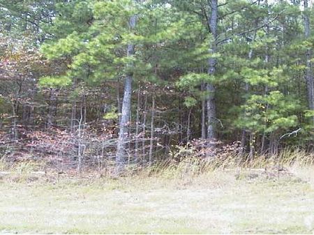 Conmack 2nd Addition Block 3 Lot 54 : Woodland Hills : Sharp County : Arkansas