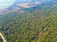 5.01 AC in Lee, FL : Lee : Madison County : Florida