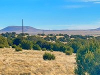 Mountain Views in Show Low Pines : Concho : Apache County : Arizona