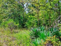 Your Ozark Family Getaway Awaits : Horseshoe Bend : Izard County : Arkansas