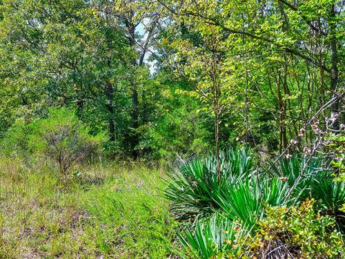 Your Ozark Family Getaway Awaits : Horseshoe Bend : Izard County : Arkansas