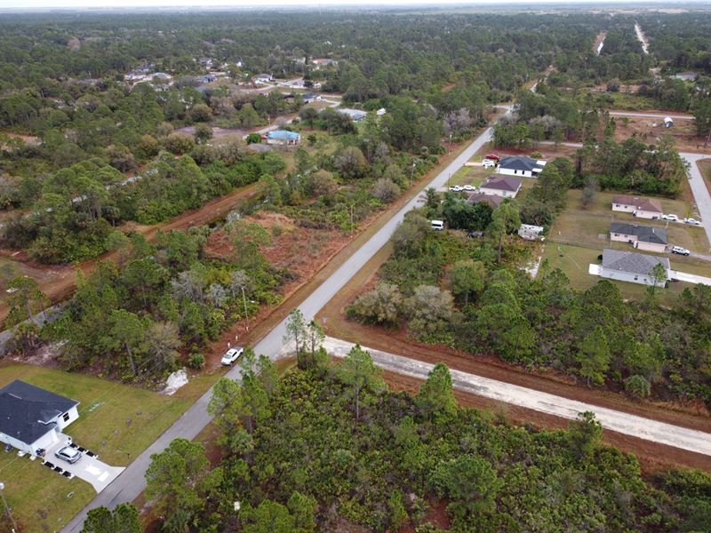 Your Dream Home Awaits : Lehigh Acres : Lee County : Florida