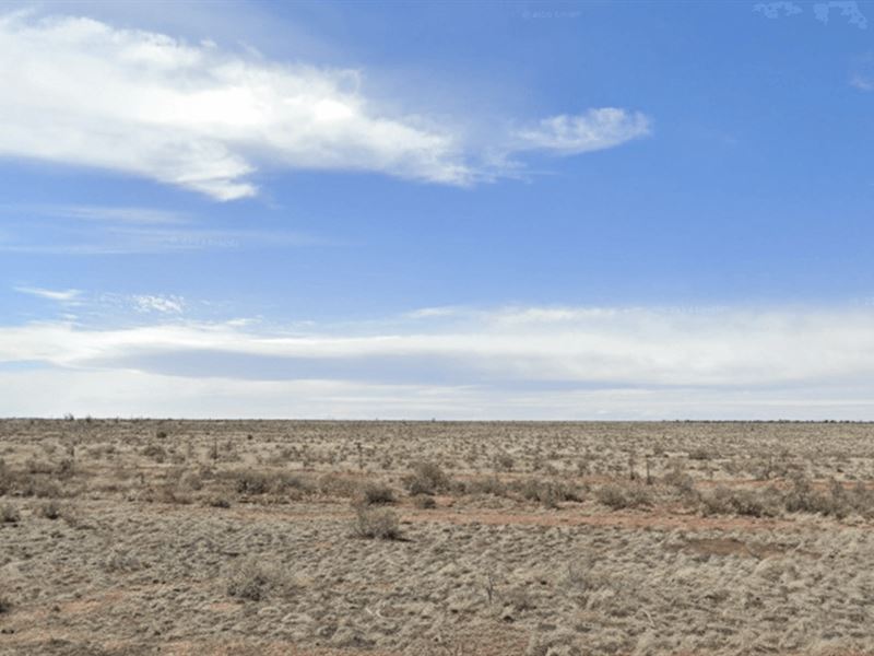 Get This 1.21 Acre Retirement Land : Valle : Coconino County : Arizona