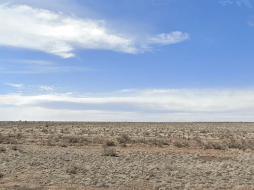 Get This 1.21 Acre Retirement Land : Valle : Coconino County : Arizona