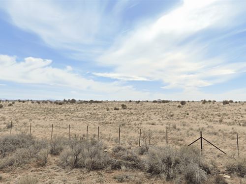 $49 to Get Started. Simple Buy Now : Valle : Coconino County : Arizona