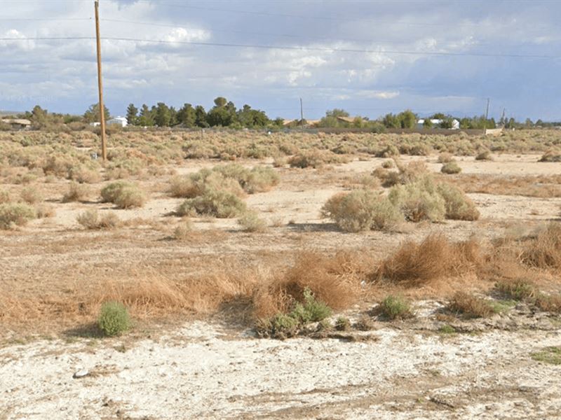 .24 Acres of Land for $49/Down : Pahrump : Nye County : Nevada