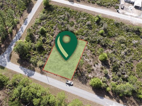 Your Dream Awaits : Lehigh Acres : Lee County : Florida