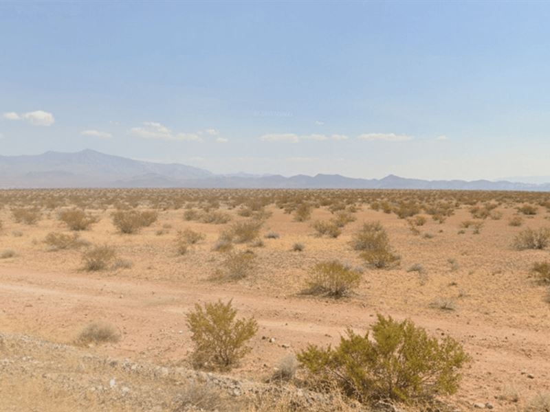 Nevada Acres for Smart Retirees : Moapa Valley : Clark County : Nevada