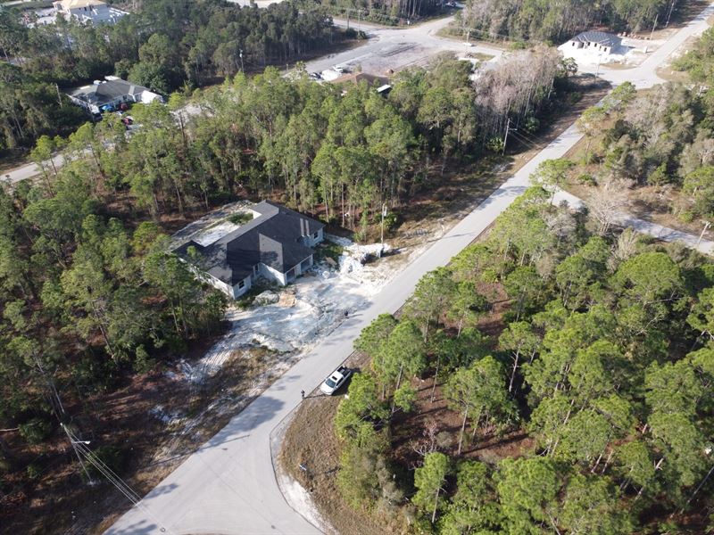 Lot for Your Dream Home : Lehigh Acres : Lee County : Florida