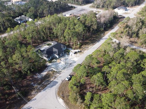 Lot for Your Dream Home : Lehigh Acres : Lee County : Florida