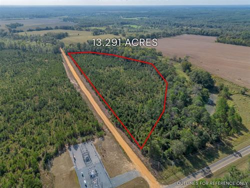 Tract 6, 13.291 Acres in Telfair : Jacksonville : Telfair County : Georgia
