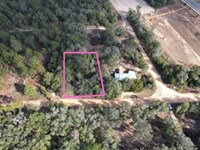 Cash Deal for Great 0.22 Acre : Interlachen : Putnam County : Florida