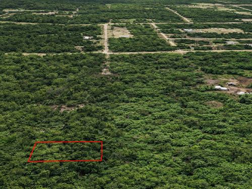 .23 Acre RV Friendly, $150/Mo : Live Oak : Suwannee County : Florida