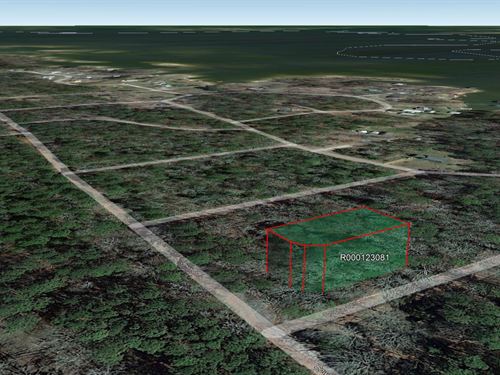 .27 Acre in Hemphill, $175/Mo : Hemphill : Sabine County : Texas