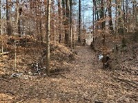 Land For Sale in Owen County, IN 11 : Spencer : Owen County : Indiana