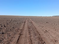 Where Possibility Meets Horizon : Concho : Apache County : Arizona