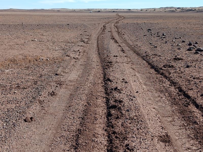 Camp Under The Blanket of Stars : Concho : Apache County : Arizona