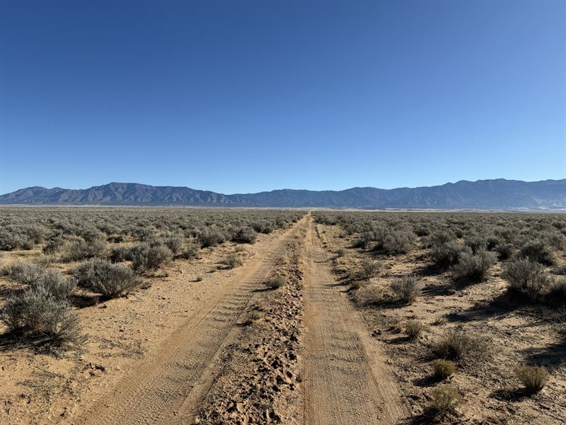 Quiet 5 Acre Desert Escape : Los Lunas : Valencia County : New Mexico